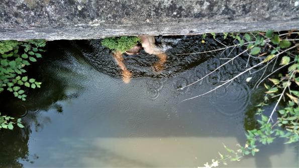 Was kommt da unter der Brücke hervor?